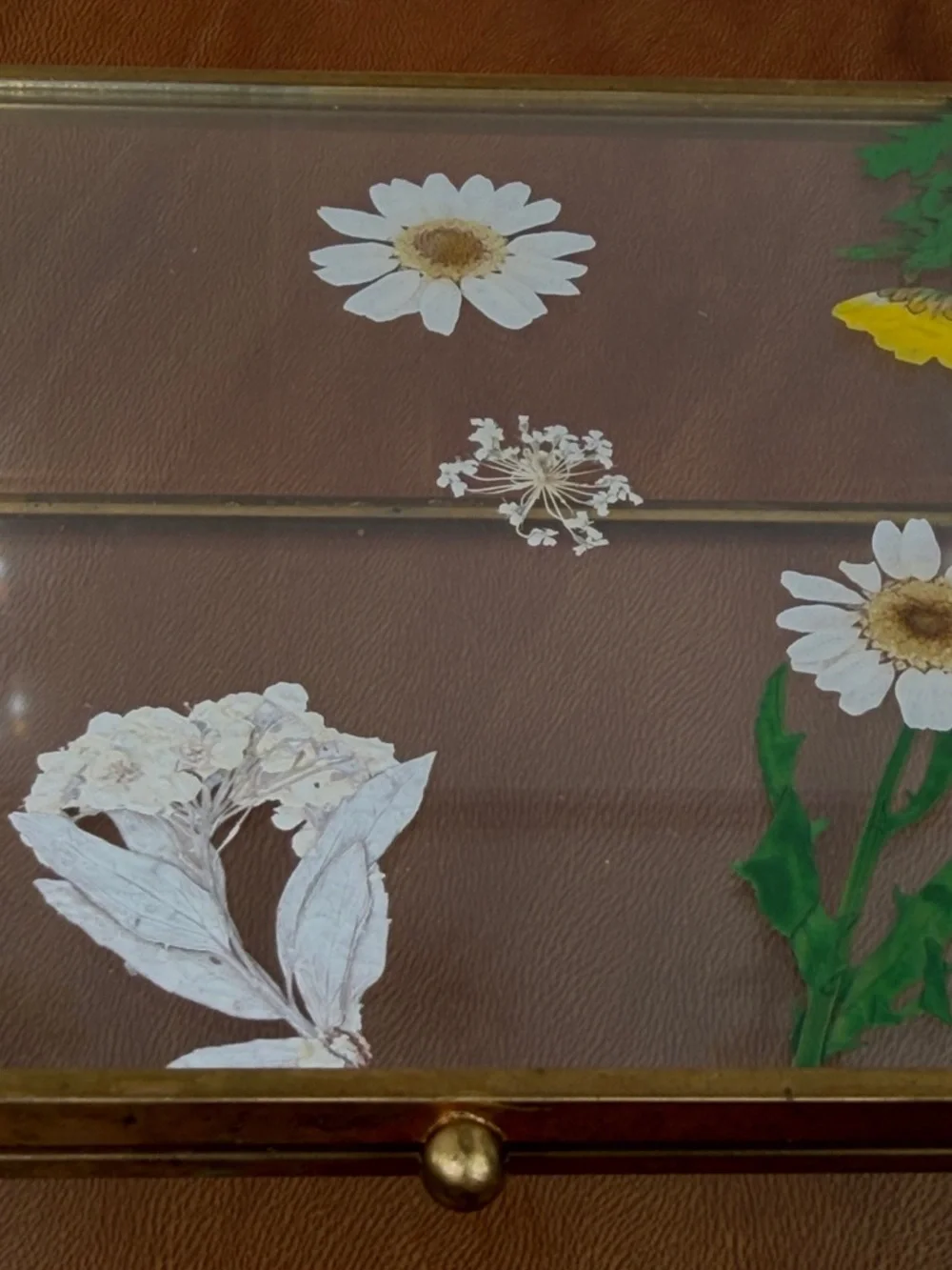 Vintage Dried Pressed Flower Glass Jewelry Box Delicate Cottagecore Gold Daisy’s